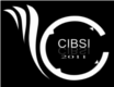 CIBSI2011